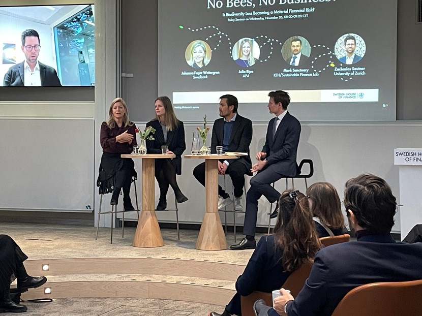 Four panelists seated on stage during a discussion on biodiversity risks and finance