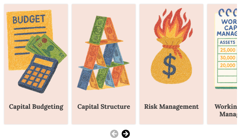Illustrations of capital budgeting, capital structure, and risk management from financial education program in Mozambique